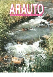 O ARAUTO DA SANTIDADE - JUNHO 1993
