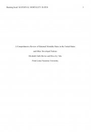 A Comprehensive Review of Maternal Mortality Rates in the United States and Other Developed Nations