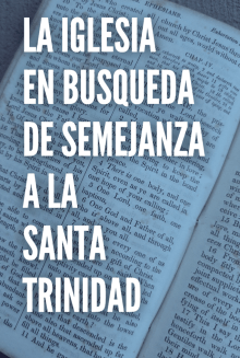 LA IGLESIA EN BUSQUEDA DE SEMEJANZA A LA SANTA TRINIDAD ES LA IGLESIA CONFORME A LA MISSIO DEI